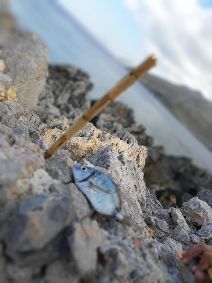 Appartamento FlorAns Alto San Vito Lo Capo Exterior foto